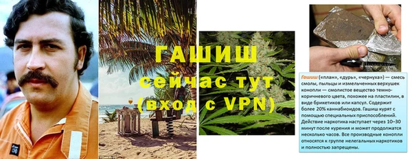 эйфоретик Горняк