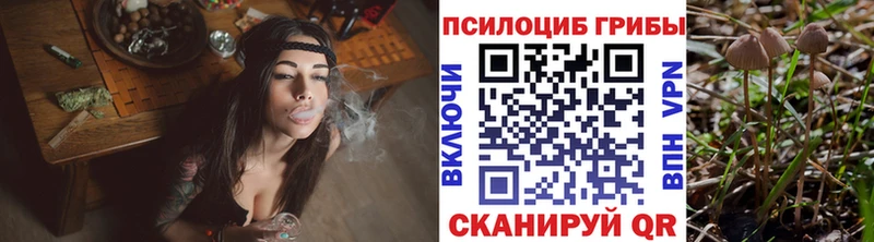 Псилоцибиновые грибы прущие грибы  Москва 