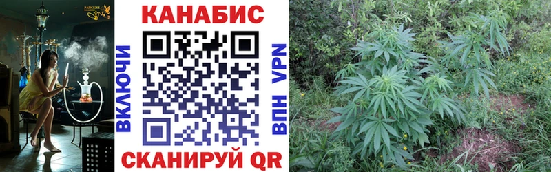 наркотики  Москва  Каннабис Bruce Banner 